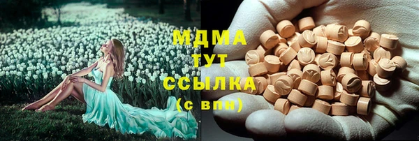соль ск Богородицк