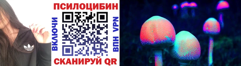 Купить закладки  Бикин  Галлюциногенные грибы GOLDEN TEACHER 